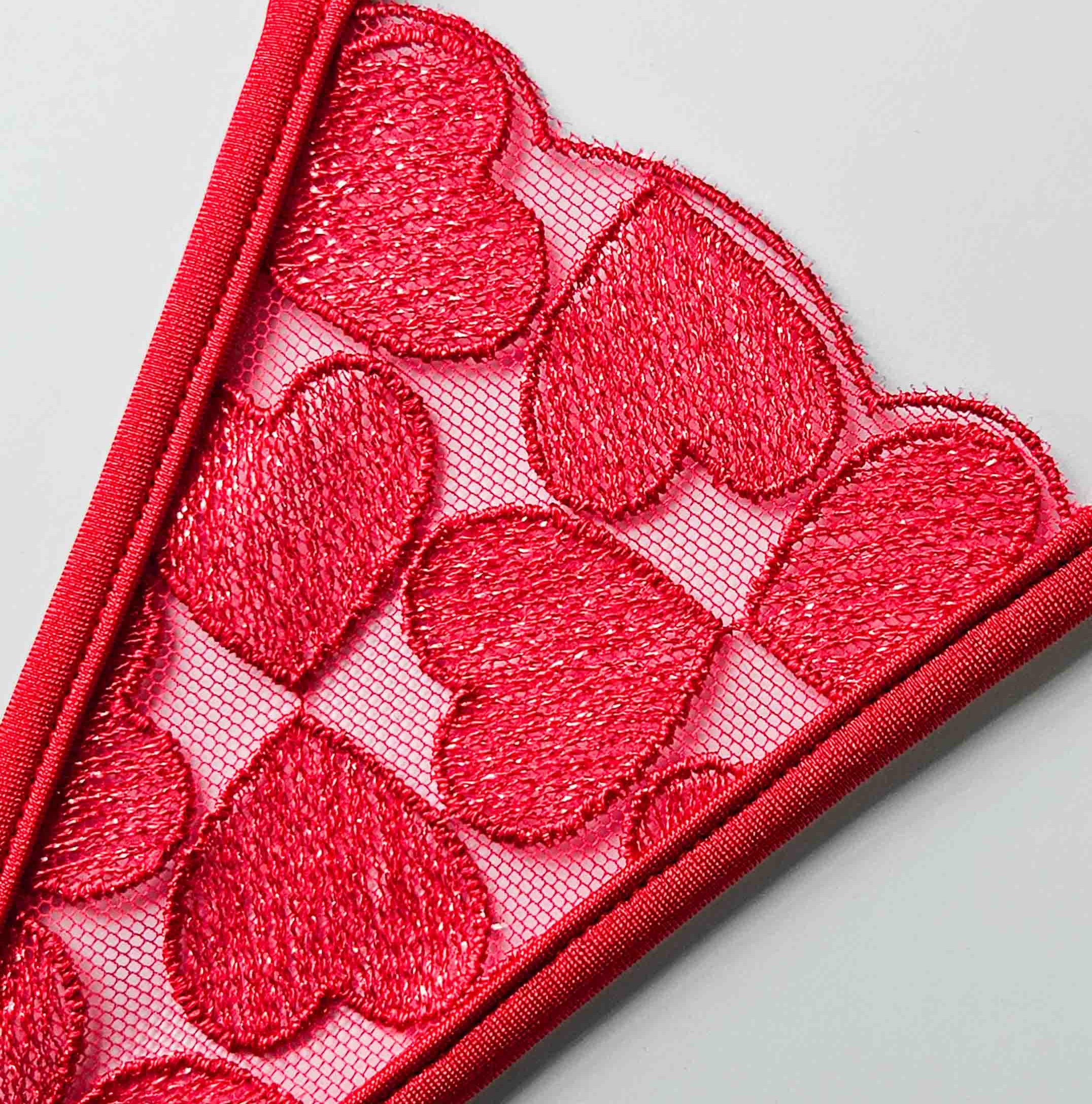 roter Micro String - Spitze mit Herzen - red micro thong - lace with hearts